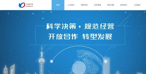 中國理財(cái)產(chǎn)品 信息化時(shí)代下的電商平臺